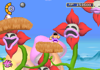 Tomba Level Mushroom Forest