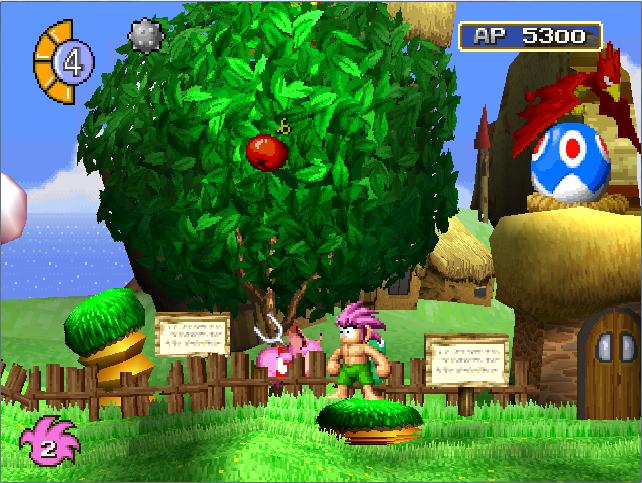 Tomba Level Kokka Bird