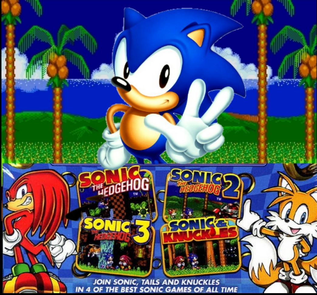 Sonic The Hedgehog Video Game
